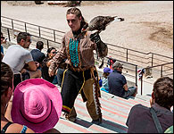 Sorties scolaires à la fauconnerie des Aigles de la Sainte-Baume