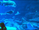 pack explorateur 5