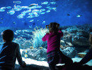 planetoceanworld2022 2