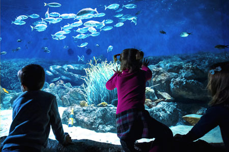 planetoceanworld2022 2