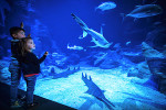 planetoceanworld2022 3