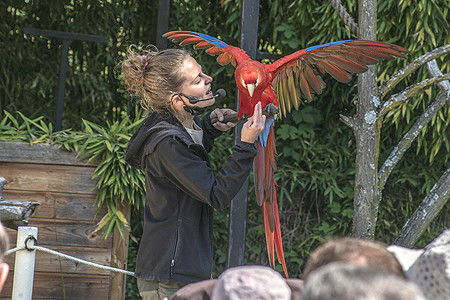 zoo d upie perroquets