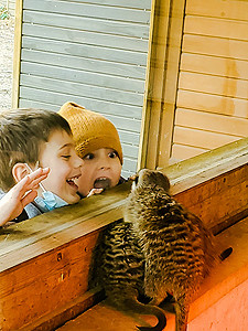 zoo upie enfants