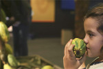 cite chocolat visite enfants