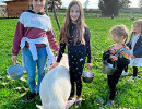 ferme pedagogique enfants