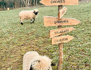 ferme pedagogique marinette familles