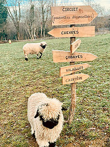 ferme pedagogique marinette familles