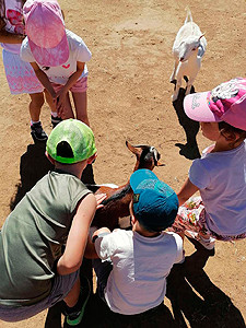 parc animalier vagnas chevres