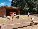 parc animalier vagnas enfants
