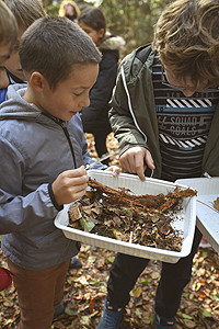 sortie scolaire puy de dome
