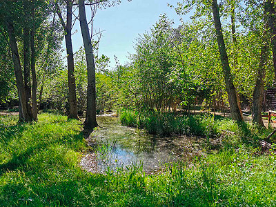 tourbiere ludogaia