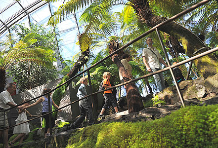 vulcania visite famille