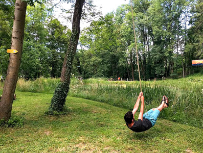 l arbre a fil pendulaire