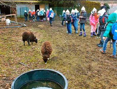 centre volcans mini ferme