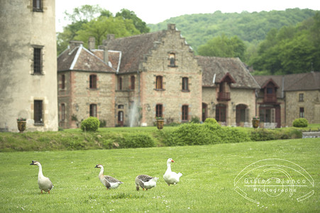 chateau pupetieres isere parc