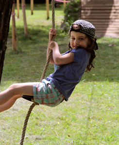 l arbre a fil balancoires  