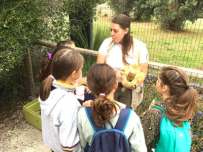 parc la barben animation scolaires