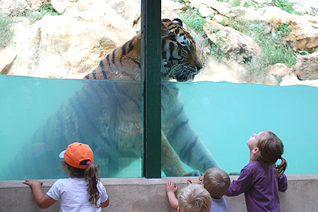 parc la barben tigre enfants