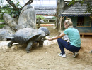 ferme crocodiles tortues