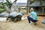 ferme crocodiles tortues