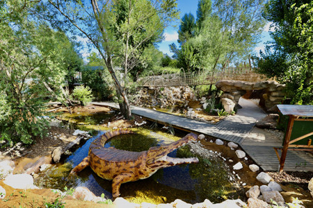 ferme crodiles drome river monsters sarcosuchus imperator parcours aventure crocodile serpent tortue scaled