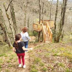 foret de champos panorama