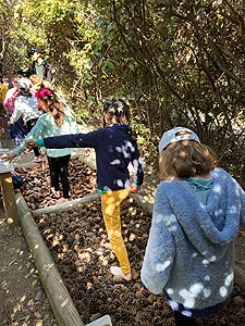 grimmland scolaires parcours pieds nus