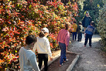 parc grimmland parcours pieds nus