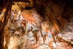 grotte de la madeleine voute