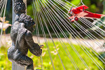 jardin ferroviaire jeu