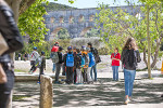 pont du gard groupe college