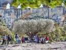 pont du gard groupe scolaires