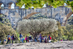 pont du gard groupe scolaires