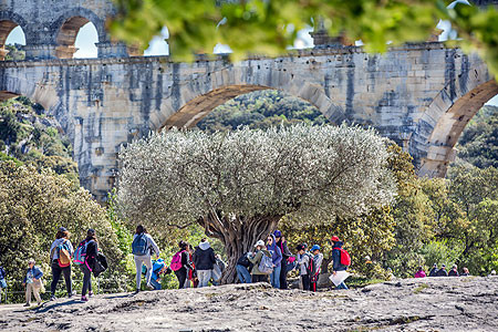 pont du gard groupe scolaires