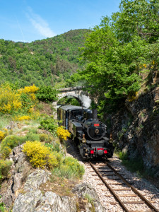 train ardeche pont vallee