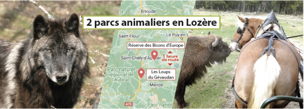 loups du gevaudan et re  serve des bisons d   europe