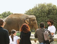 Parc Zoologique La Barben sorties scolaires et enfants