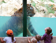Parc Zoologique La Barben Bouches du Rhône 13 sorties scolaires groupes et familles