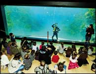 dépliant pédagogique grand aquarium de lyon sorties enfants groupes scolaires