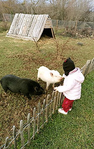 ferme pedagogique marinette maternelle