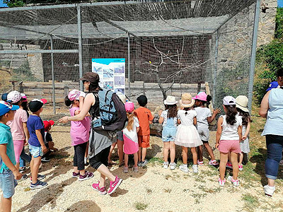 parc animalier vagnas groupe ecole