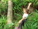l arbre a fil balancoires aventure