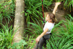 l arbre a fil balancoires aventure