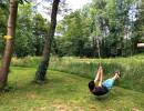 l arbre a fil pendulaire