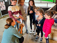 ferme pedagogique marinette ecole