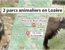 loups du gevaudan et re  serve des bisons d   europe