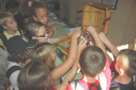 maison terroir beaujolais scolaires