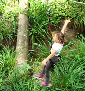 l arbre a fil balancoires aventure