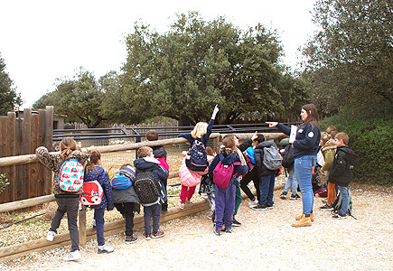 parc la barben animation ecole