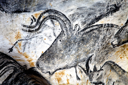 grotte chauvet aurochs